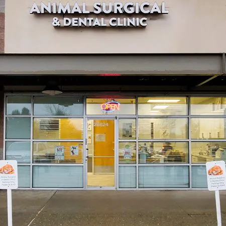 Animal Surgical & Dental Clinic 12