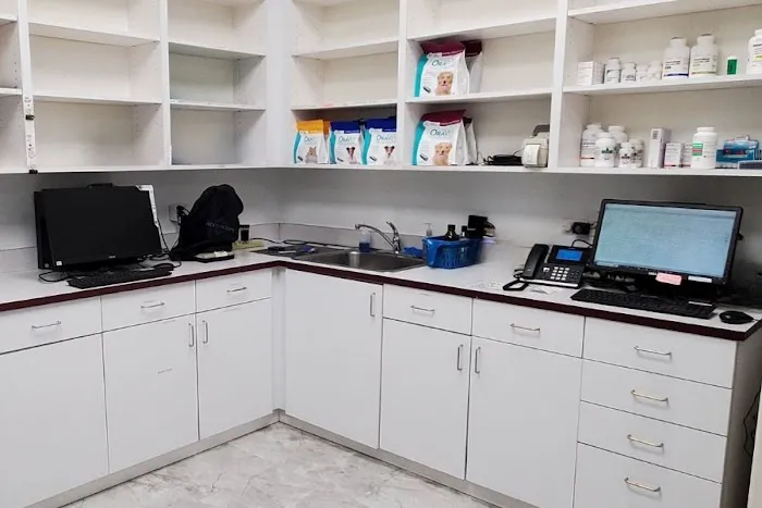 Animal Surgical & Dental Clinic 12