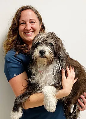 Animal Surgical & Dental Clinic 12