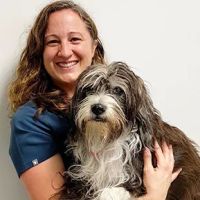 Animal Surgical & Dental Clinic ico