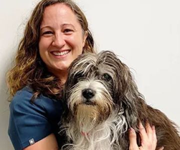 Animal Surgical & Dental Clinic