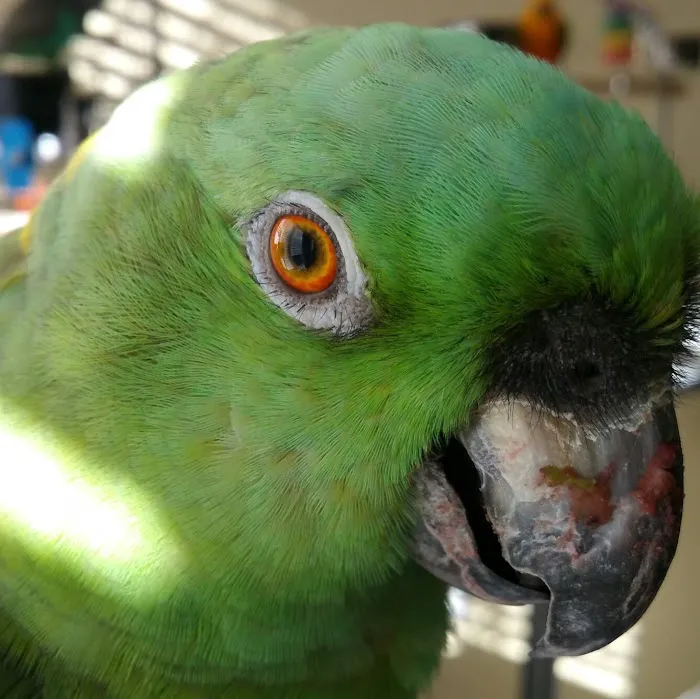 Pine Tree Veterinary Hospital 12