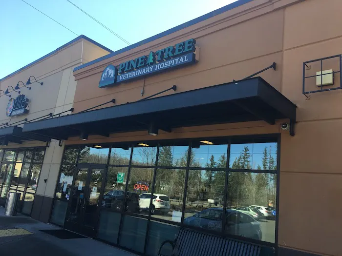 Pine Tree Veterinary Hospital 12