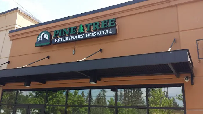 Pine Tree Veterinary Hospital 12