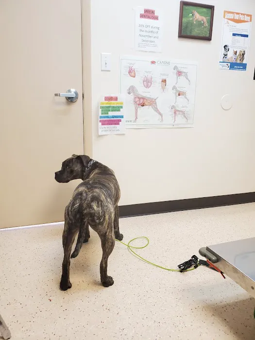 Vetco Vaccination Clinic 7