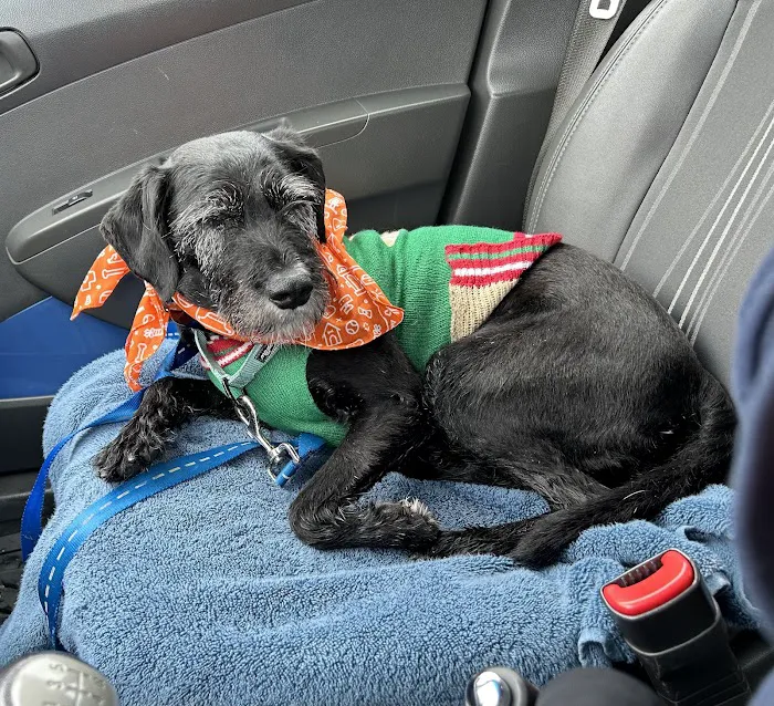 Banfield Pet Hospital 8
