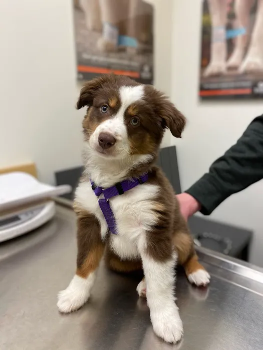 Banfield Pet Hospital 4