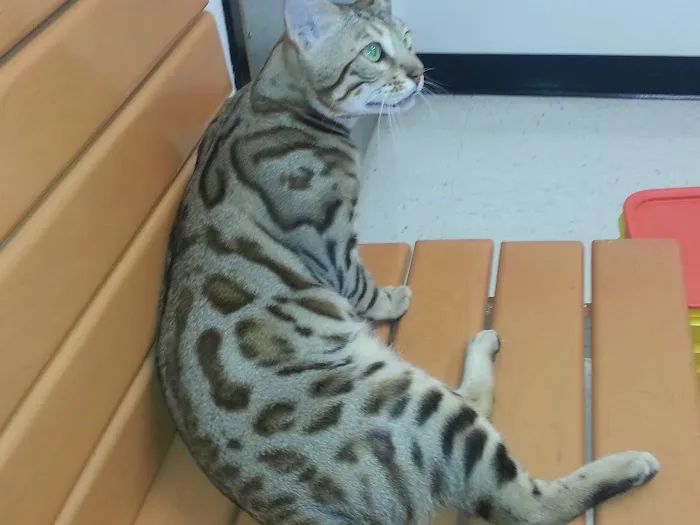 Banfield Pet Hospital 3