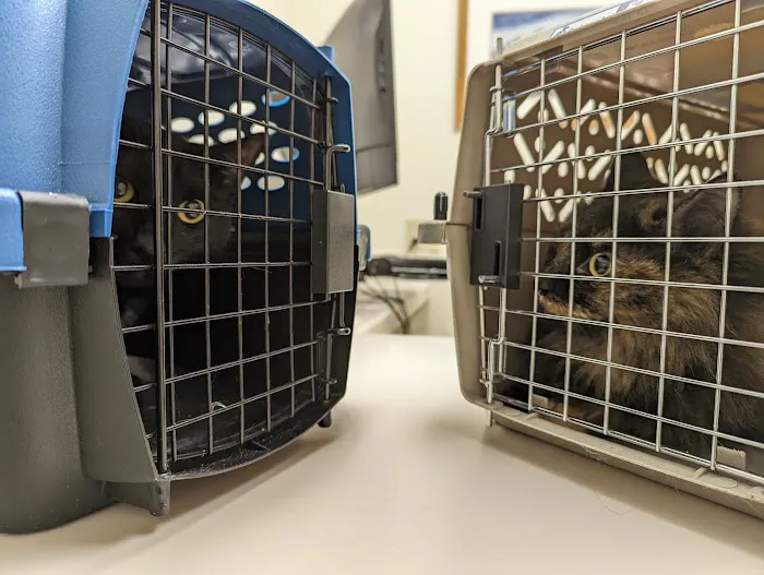 Cascade Veterinary Hospital 4