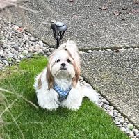 Sacajawea Veterinary Hospital ico