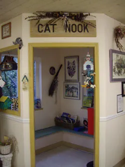 A Small Animal Hospital 5