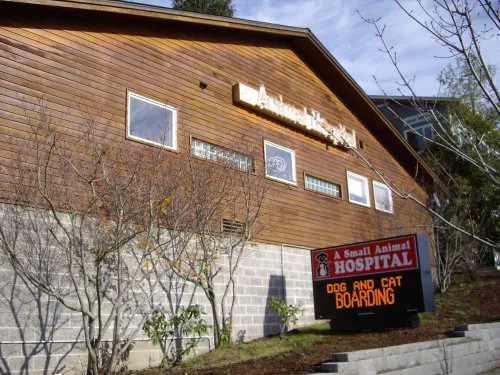 A Small Animal Hospital 9