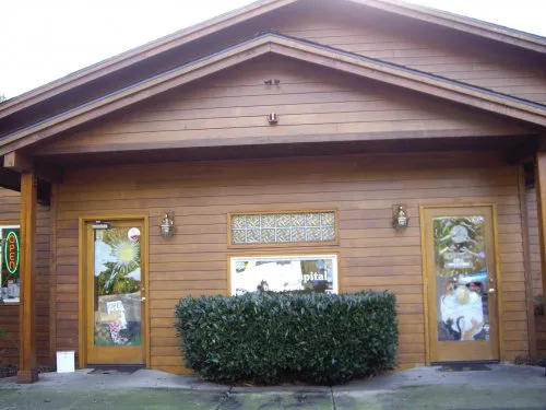 A Small Animal Hospital 6
