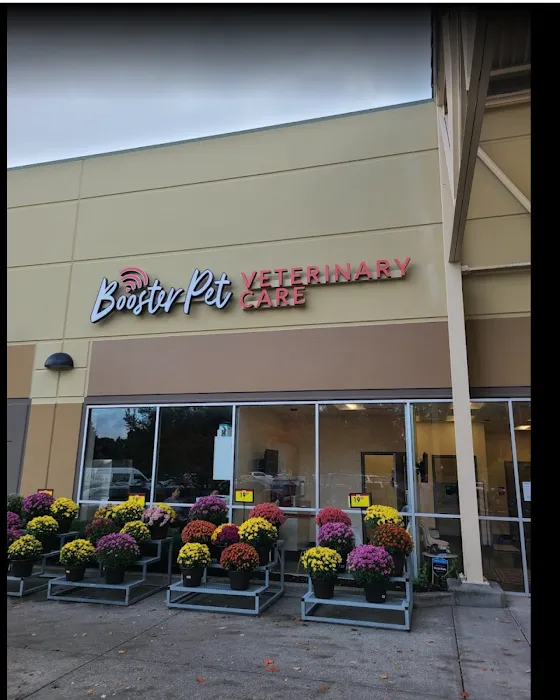 BoosterPet Veterinary Wellness and Urgent Care in Federal Way 7