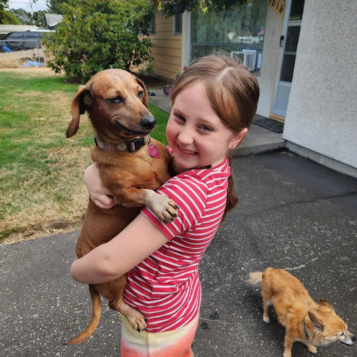 BoosterPet Veterinary Wellness and Urgent Care in Federal Way 4