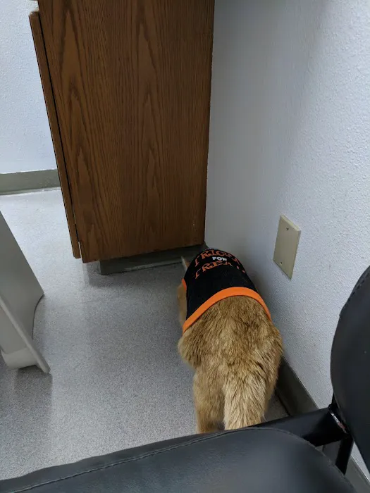 The Cat Doctor 4
