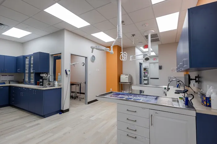 River Park Animal Hospital 12