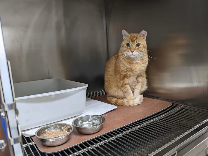 River Park Animal Hospital 12
