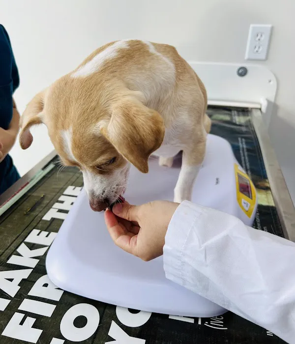 River Park Animal Hospital 12