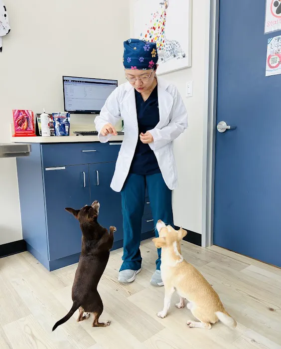 River Park Animal Hospital 12