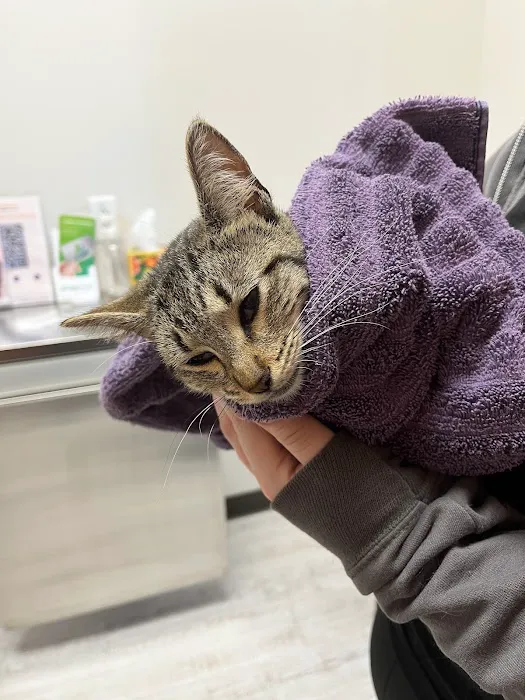 VetExpress Animal Urgent Care 12