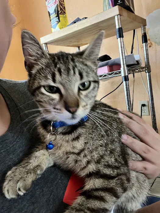 VetExpress Animal Urgent Care 12