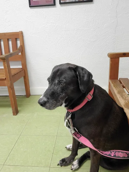 Richmond Animal Hospital 12