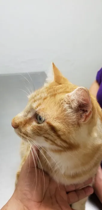 Richmond Animal Hospital 12