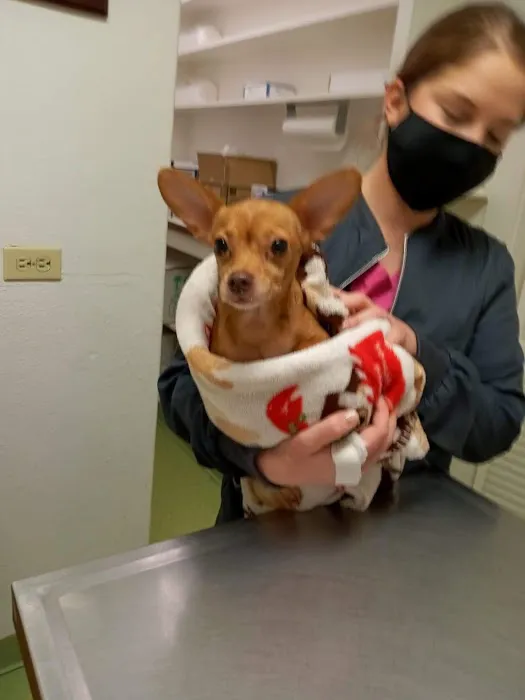Richmond Animal Hospital 12