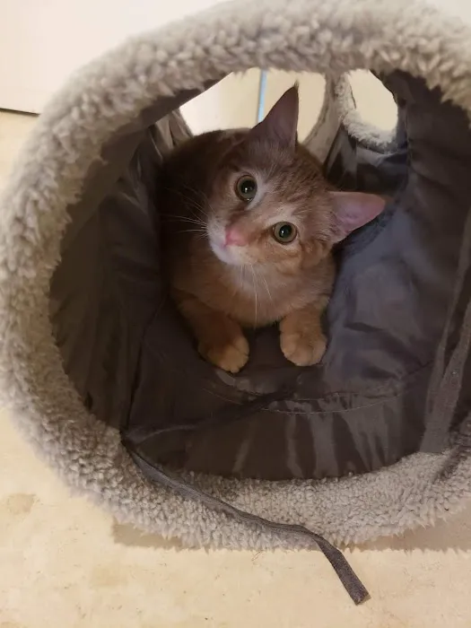 Rose-Rich Veterinary Clinic 12