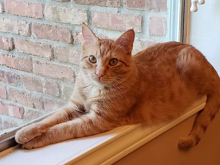 Rose-Rich Veterinary Clinic 12