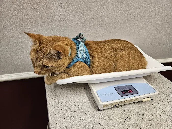 Rose-Rich Veterinary Clinic 12