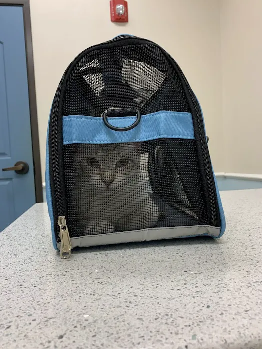 Rose-Rich Veterinary Clinic: Mc Donald Charles N DVM 12