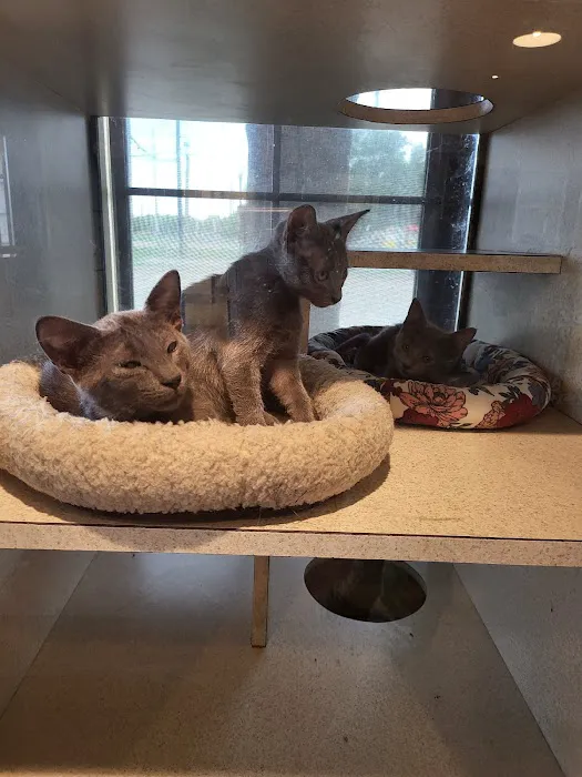 Rose-Rich Veterinary Clinic: Mc Donald Charles N DVM 12