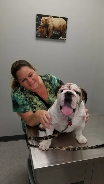 Rosenberg Veterinary Clinic 12