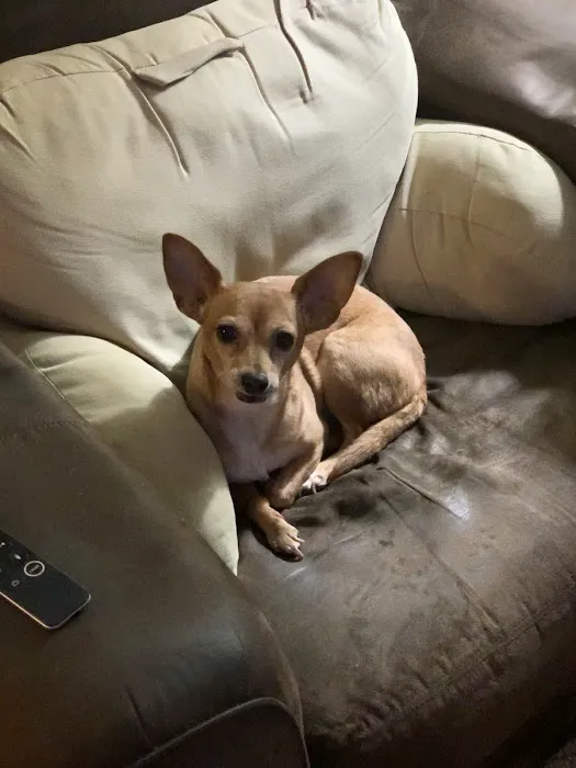 Rosenberg Veterinary Clinic 12