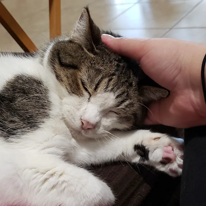 Vetco Total Care Animal Hospital 3