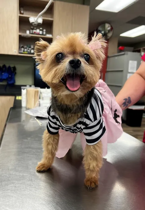 The WellPet Center Veterinary Hospital 5
