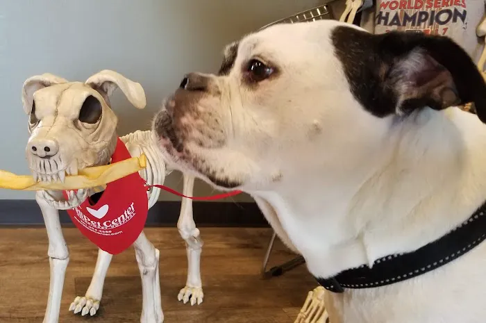 The WellPet Center Veterinary Hospital 1