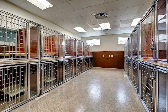 Cross Creek Veterinary Hospital 8