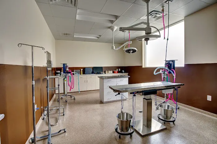 Cross Creek Veterinary Hospital 4