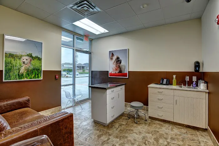 Cross Creek Veterinary Hospital 5