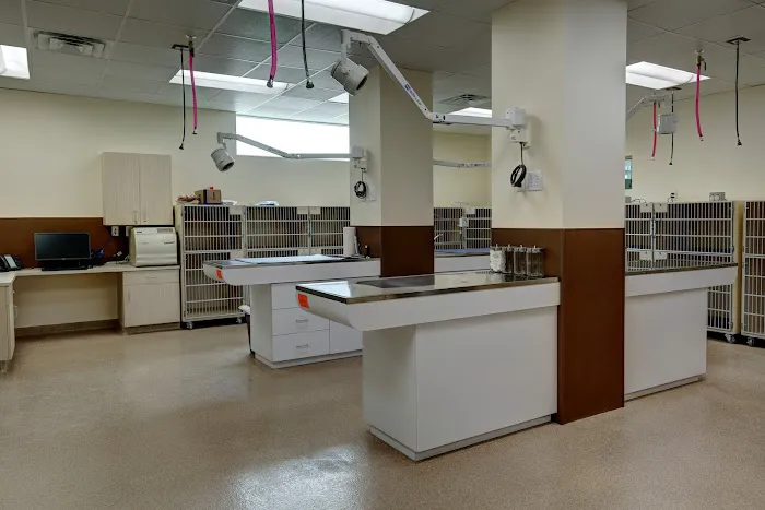 Cross Creek Veterinary Hospital 1