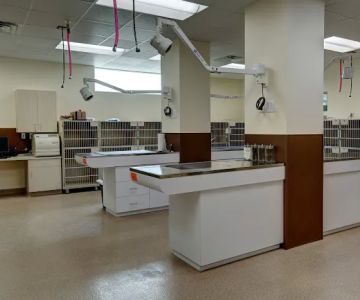 Cross Creek Veterinary Hospital