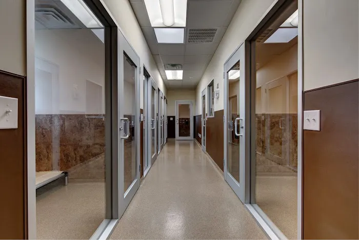 Cross Creek Veterinary Hospital 2