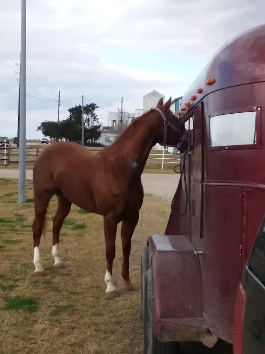 Katy Equine Clinic 8
