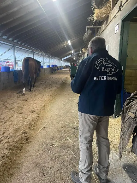 Katy Equine Clinic 5