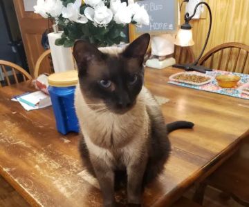 Groves Veterinary Clinic