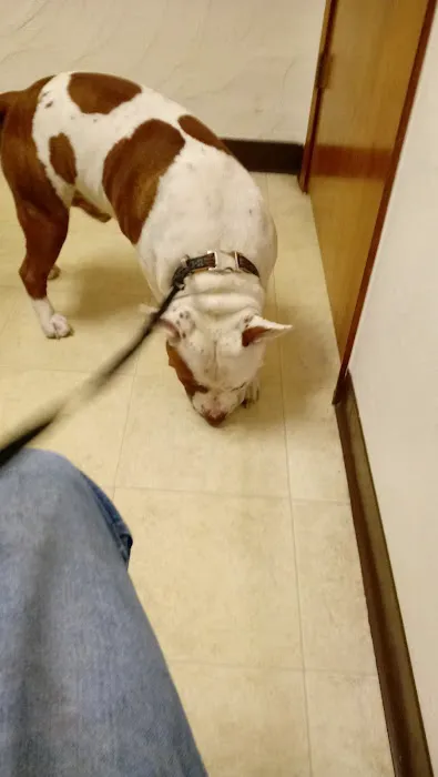 Sherwood Animal Clinic 2