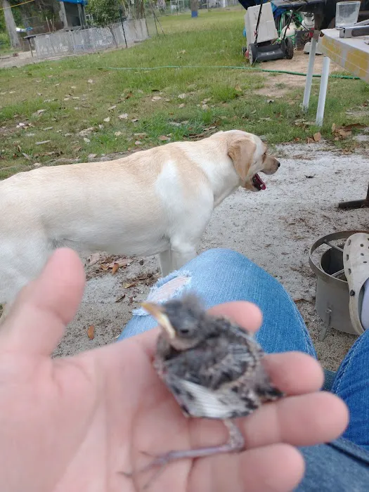Sherwood Animal Clinic 6
